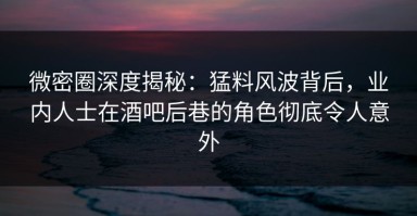 微密圈深度揭秘：猛料风波背后，业内人士在酒吧后巷的角色彻底令人意外